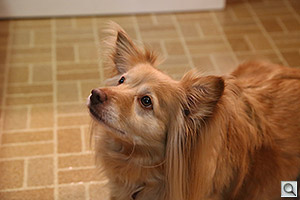 6D Field Test image 18