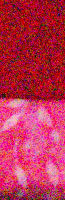 70D High ISO Noise Reduction image 100
