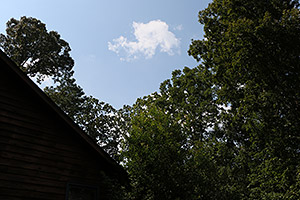 Canon 70D review -- Sample image