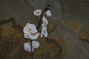 Canon 70D review -- Sample image
