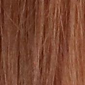 77D Exposure image 33