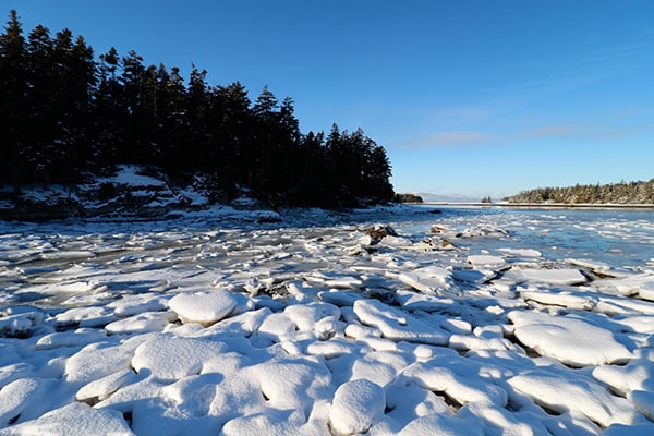 Canon 7D Mark II Review -- Gallery image