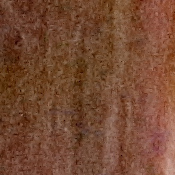 7D Mark II Exposure image 31