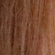 80D Exposure image 34