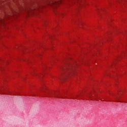 100% crop from Canon 80D test image taken at ISO 100