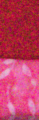 80D High ISO Noise Reduction image 66