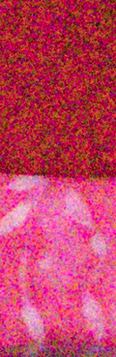 80D High ISO Noise Reduction image 75