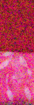 80D High ISO Noise Reduction image 84