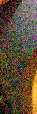 80D High ISO Noise Reduction image 87