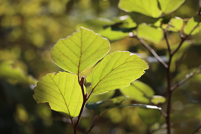 90D Field Test Part II image 6