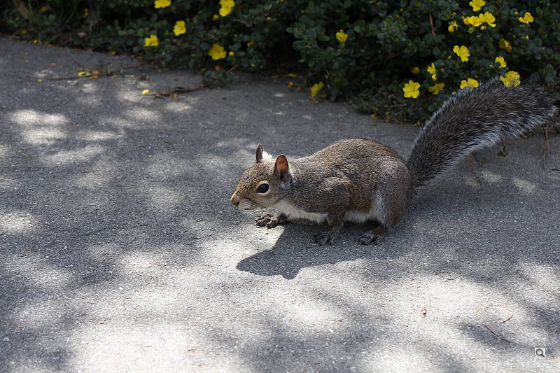 Click to see YIMG_2711.JPG