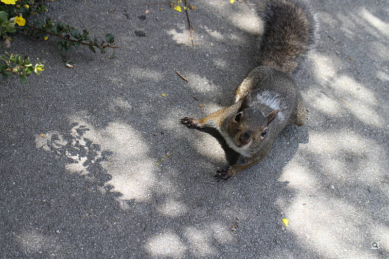 Click to see YIMG_2725.JPG