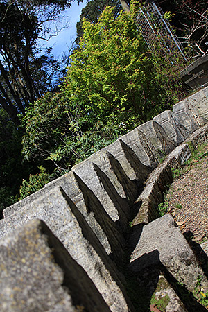 Canon EOS M review -- Sample photo