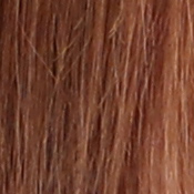 M5 Exposure image 23