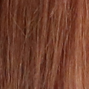 M5 Exposure image 25