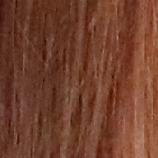 M5 Exposure image 27