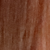 M5 Exposure image 29