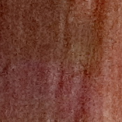 M5 Exposure image 30