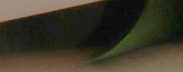 M5 Exposure image 39