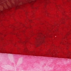 M5 Exposure image 20