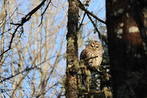 Canon M5 Review: Field Test -- Gallery Image