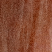 M50 Exposure image 36