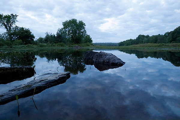 Canon EOS M50 Review: Field Test -- Gallery Image