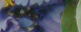 M6 Exposure image 45