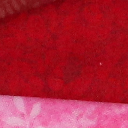 100% crop from Canon EOS M6 test image taken at ISO 1600