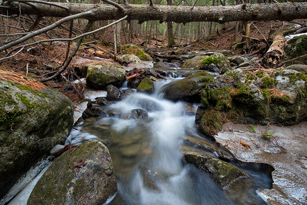 Canon EOS M6 Review: Field Test -- Gallery Image