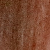R Exposure image 40