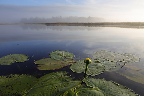Canon EOS R Review: Field Test -- Gallery Image