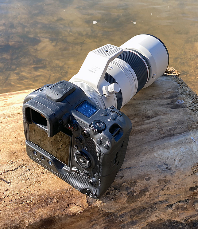 The Canon R3 + RF 100-500mm F4.5-7.1L IS lens (Big thanks for Lensrentals for sending us