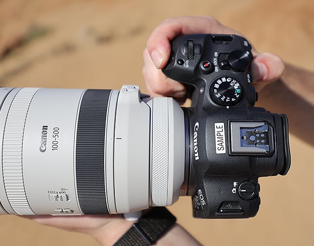 R6 Mark II Overview image 3