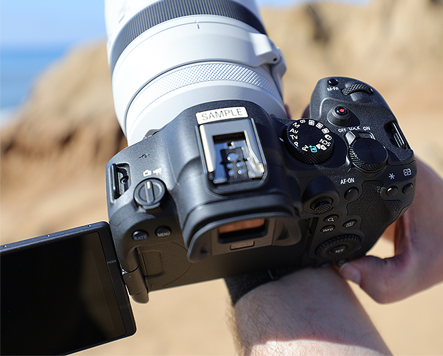 R6 Mark II Overview image 2