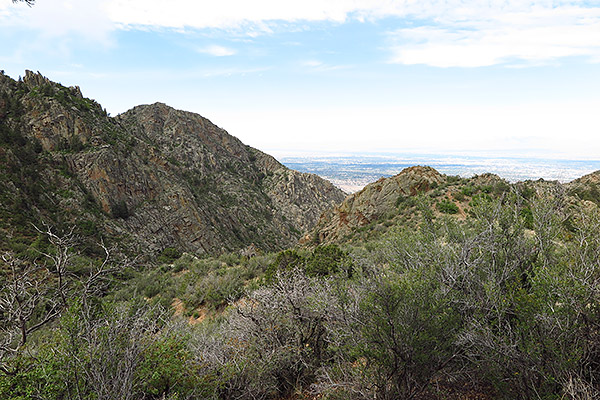 Canon G1 X Mark II Review -- Sample gallery image