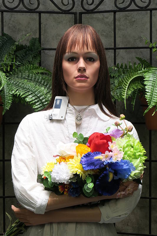 Canon PowerShot G3 X Exposure image 3
