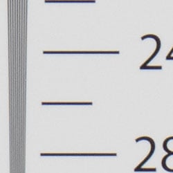 ACR converted RAW: Strong detail to ~2,600 lines horizontal