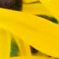 Canon PowerShot G3 X Field Test -- Noise Reduction Image