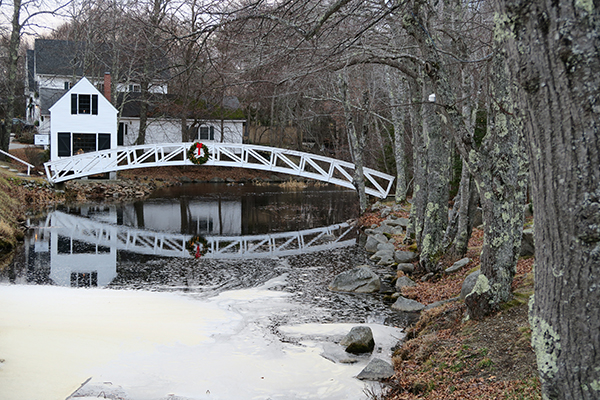 Canon G5X Field Test -- Gallery Image