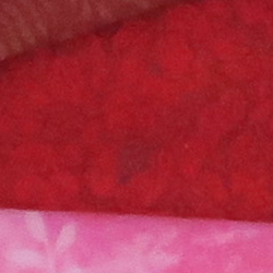100% crop from Canon G7X test image taken at ISO 1600