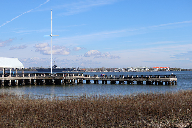 R50 + RF-S18-45mm F4.5-6.3 IS STM: 42mm, F9, 1/320s, ISO 100 - Advanced A+