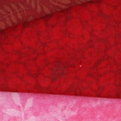 100% crop from Canon SL1 test image taken at ISO 100