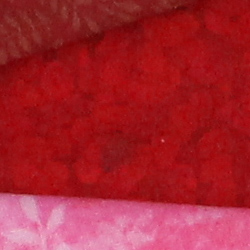100% crop from Canon SL1 test image taken at ISO 1600