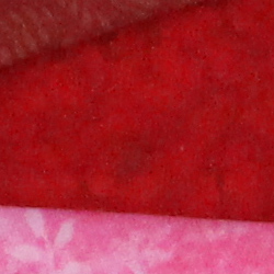 100% crop from Canon SL1 test image taken at ISO 3200