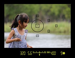 Canon SL1 review -- Viewfinder