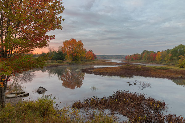 Canon SL2 Review: Field Test -- Gallery Image