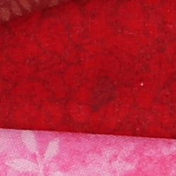 100% crop from Canon SL2 test image taken at ISO 100