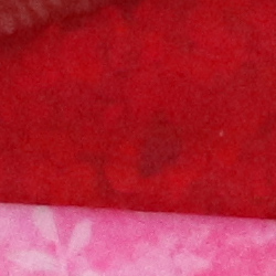 100% crop from Canon SL2 test image taken at ISO 3200