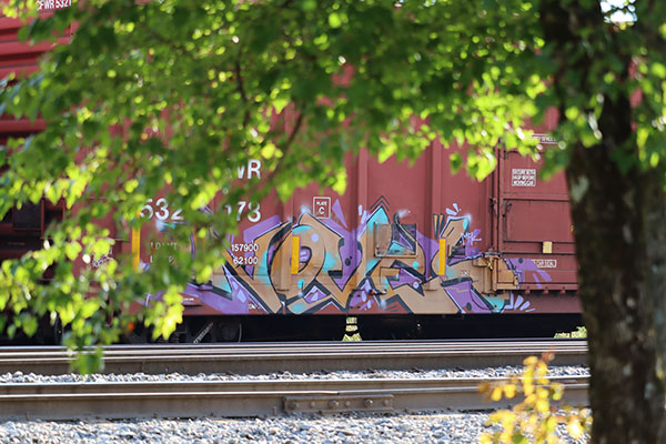 100mm (160mm eq.), 1/200 sec. @ f/4.5, ISO 160 Click thumbnail for JPEG, or here for